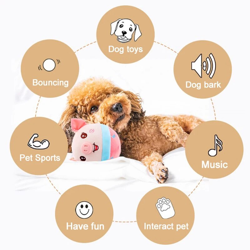PawsPlay™ - Interaktives Kuscheltier für Haustiere