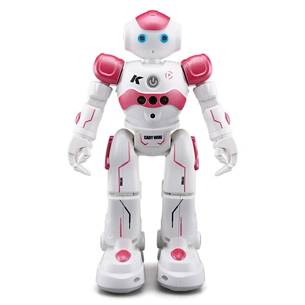 CadyRobot™ - Intelligenter Roboter mit Gestenerkennung